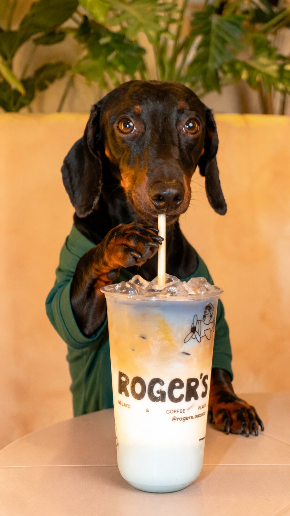 Roger’s foto 3