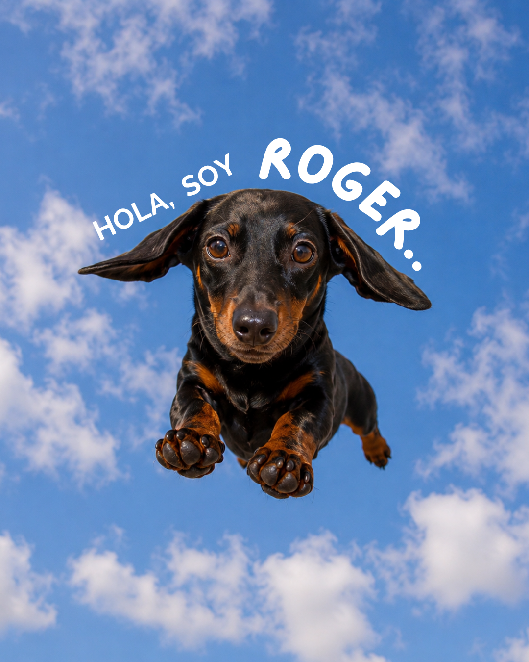 Roger’s foto 2