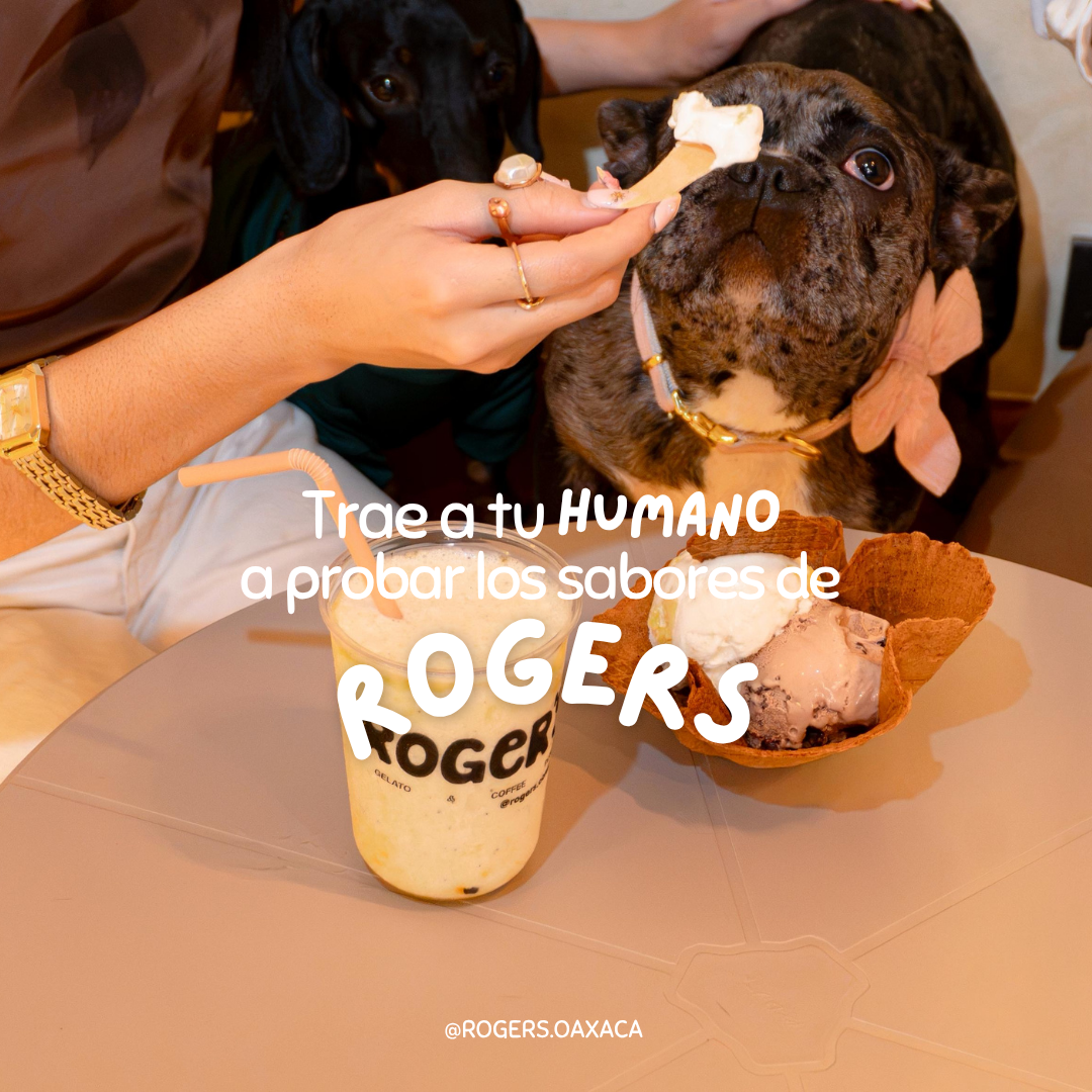 Vive la Experiencia Harry Potter en Roger´s foto 2